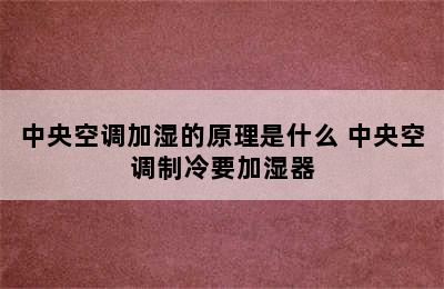 中央空调加湿的原理是什么 中央空调制冷要加湿器